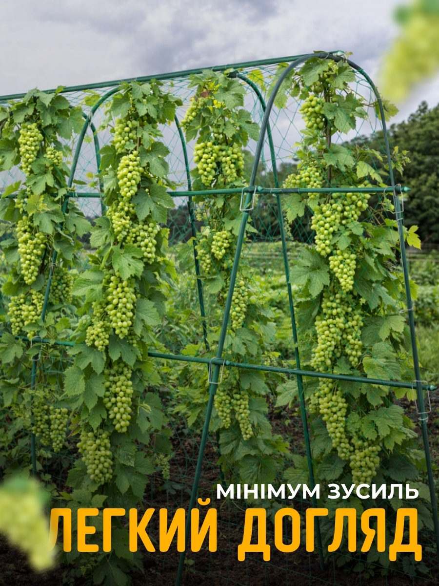 Садова опора для в’юнких рослин з сіткою