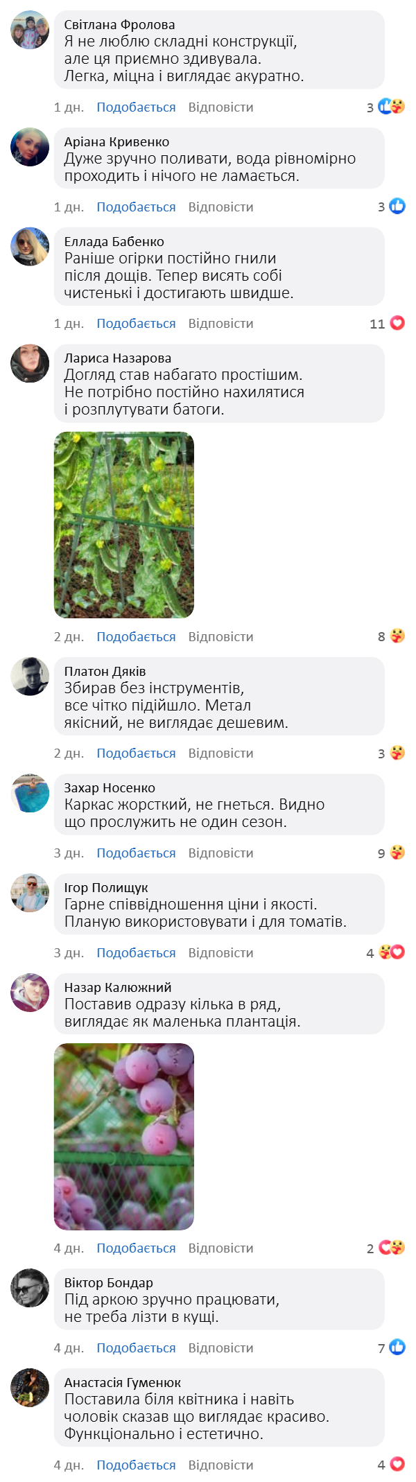 Садова опора для в’юнких рослин з сіткою